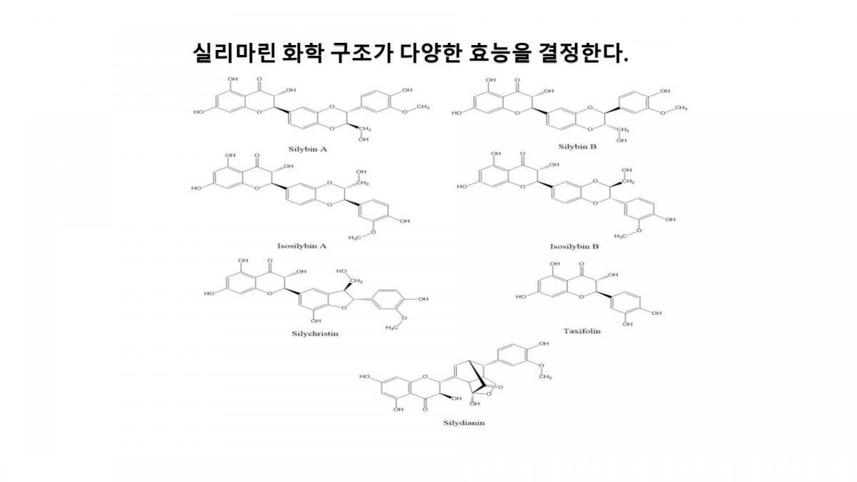 왕회장님 PPT로 실리마린의 다양하고 무궁한 기능 가치를 심화 설명圖細胞營養之11